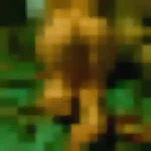 Photo sexy de Rose-Marie, 43 ans à Amilly - rencontre sans lendemain