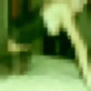 Belle Daniela, 34 ans à Annezin - la contacter