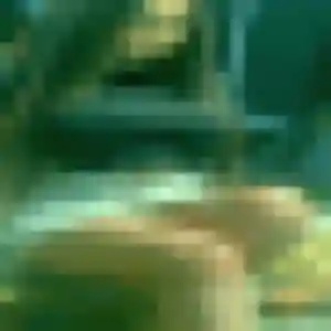 Sofia, 36 ans, cherche un rencontre adulte à Arcachon