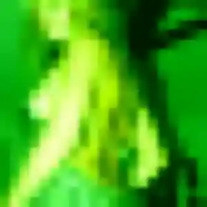 Profil de Pauline à Aubigny-Les Clouzeaux (25 ans) - rencontre adulte gratuit