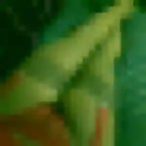 Cecile (26 ans) à Bassens cherche une rencontre rapidement