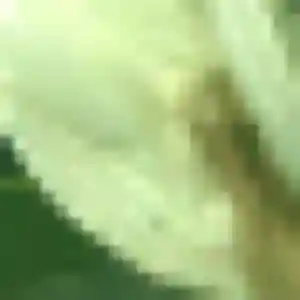Alessandra, fille de 27 ans propose rencontre adulte à Beaucouzé