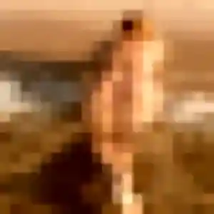 Lamia, 38 ans, connectée à Bolbec pour un rencontre adulte