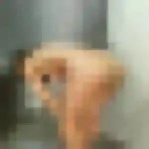 Lisette, 24 ans, en ligne à Bondy pour un rencontre adulte