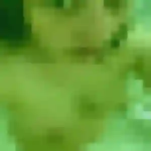 Photo privée de Corinne, 42 ans à Brignais - rencontre coquine