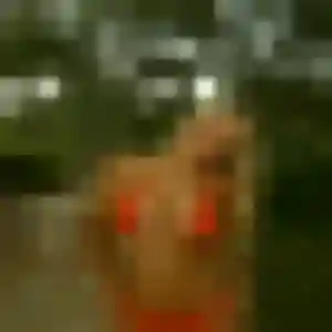 Ketty, 28 ans, disponible à Caudan pour une rencontre coquine