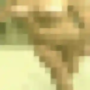 Contacte Lucie, 41 ans à Champigneulles en privé