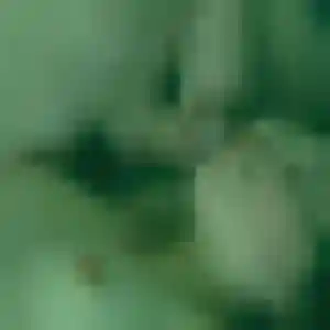 Lou-Anne (42 ans) à Châteauneuf-les-Martigues cherche une rencontre maintenant