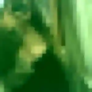 Découvre Yvonne, 36 ans à Châtillon-sur-Seine en t'inscrivant