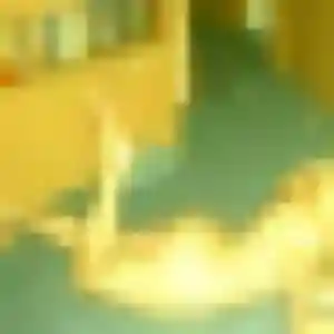 Regine, 25 ans, connectée à Cosne-Cours-sur-Loire pour une rencontre coquine
