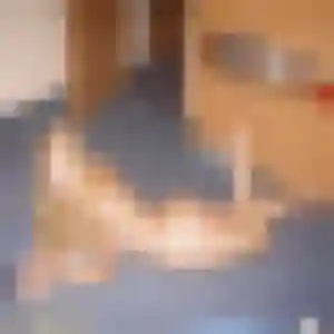 Profil de Whitney à Cusset (21 ans) - rencontre adulte anonyme
