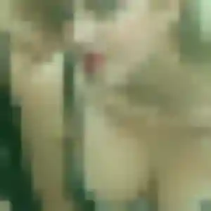 Photo privée de Wahiba, 44 ans à Decize - rencontre coquine
