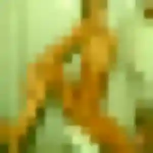 Découvre Amira, 29 ans à Douai en t'inscrivant