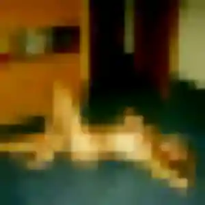 rencontre adulte à Fillière : photo de Estee, 32 ans - accès libre