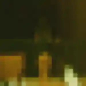 Photo de Nelly à Fleury-les-Aubrais (42 ans) - rencontre adulte anonyme