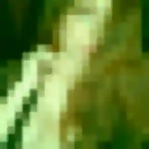 Photo de Anne-Sophie à Gévezé (44 ans) - rencontre adulte anonyme