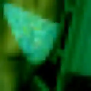 Photo de Cecile à Gleizé (35 ans) - rencontre adulte gratuit