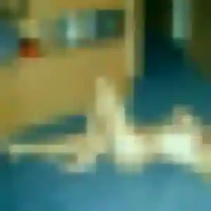 Romane, 20 ans, dispo pour rencontre adulte à Gournay-sur-Marne