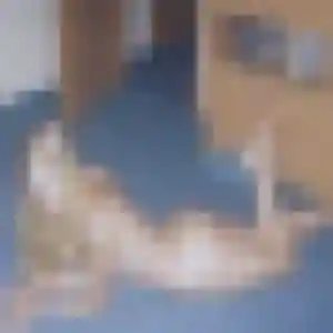 Delia, 29 ans, disponible à Ifs pour une rencontre coquine