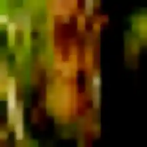 Profil de Mathilde à La Rochelle (41 ans) - rencontre adulte anonyme
