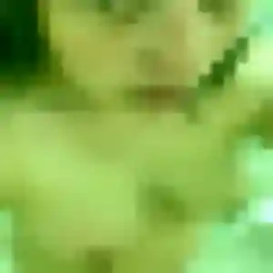 Touria, 22 ans, cherche un rencontre adulte à La Salvetat-Saint-Gilles