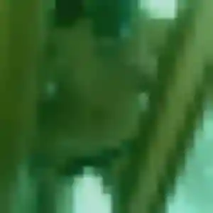 Noemie (21 ans) à Laon propose un rencontre adulte rapidement