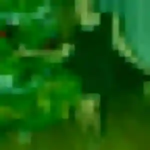 Marie, 44 ans, cherche un rencontre adulte à Le Diamant