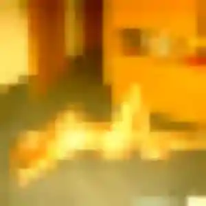 Eglantine, 38 ans, en ligne à Le Mée-sur-Seine pour une rencontre coquine