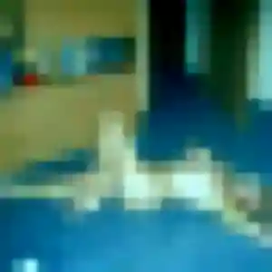 Noemie, femme de 30 ans propose rencontre adulte à Le Mesnil-Saint-Denis