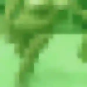 Zineb, 33 ans, disponible à Le Palais-sur-Vienne pour un rencontre adulte