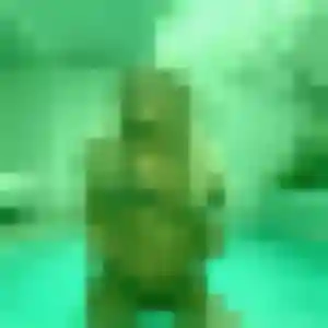 Sexy Romina, 42 ans à Le Passage - la contacter