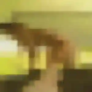 Louna, 20 ans, en ligne à Levens pour une rencontre coquine