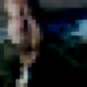 Djamila (29 ans) à Lognes cherche une rencontre maintenant