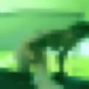 Aurore, 39 ans, cherche un rencontre adulte à Lys-Haut-Layon