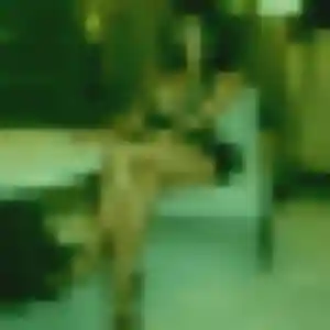 Helene, 31 ans, veut un rencontre adulte à Mauges-sur-Loire