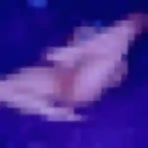 Catherine, 23 ans, connectée à Montauban-de-Bretagne pour un rencontre adulte