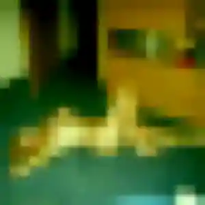 Photo de Marine à Monts (45 ans) - rencontre adulte gratuit