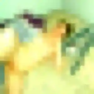 Photo privée de Noura, 29 ans à Nogent-sur-Oise - rencontre coquine