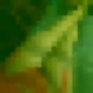 Isaure, 33 ans, connectée à Osny pour un rencontre adulte