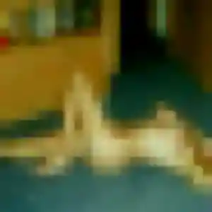 Photo privée de Ines, 19 ans à Othis - rencontre coquine