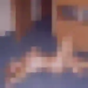Rejoins Daphne, 38 ans à Poitiers gratuitement