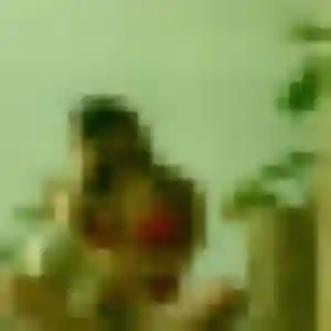 Hilary, 33 ans, cherche un rencontre adulte à Pordic