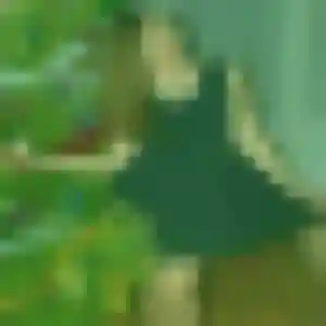 Bianca, 41 ans, disponible à Pourrières pour une rencontre coquine