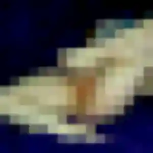 Photo exclusive de Louisa, 22 ans à Poussan - rencontre coquine