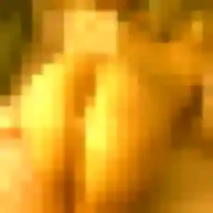 Roxane, 33 ans, disponible à Rousset pour une rencontre coquine