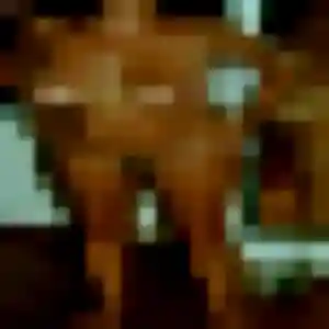 Photo privée de Vicky, 37 ans à Saint-Amand-les-Eaux - rencontre coquine