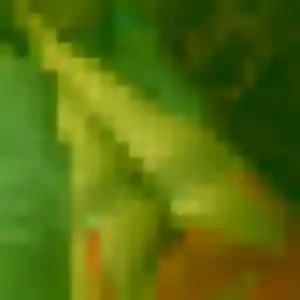 rencontre adulte à Saint-Cyr-sur-Loire : photo de Claire, 22 ans - accès libre