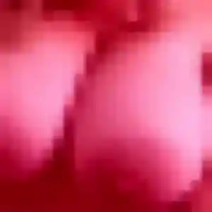 Photo perso de Rachel, 43 ans à Saint-Laurent-de-la-Salanque - rencontre coquine