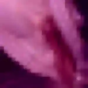 Corinne, 38 ans, dispo pour rencontre adulte à Saint-Martin-Boulogne