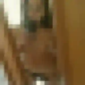 Faustine (29 ans) à Saint-Martin-de-Seignanx propose une rencontre maintenant